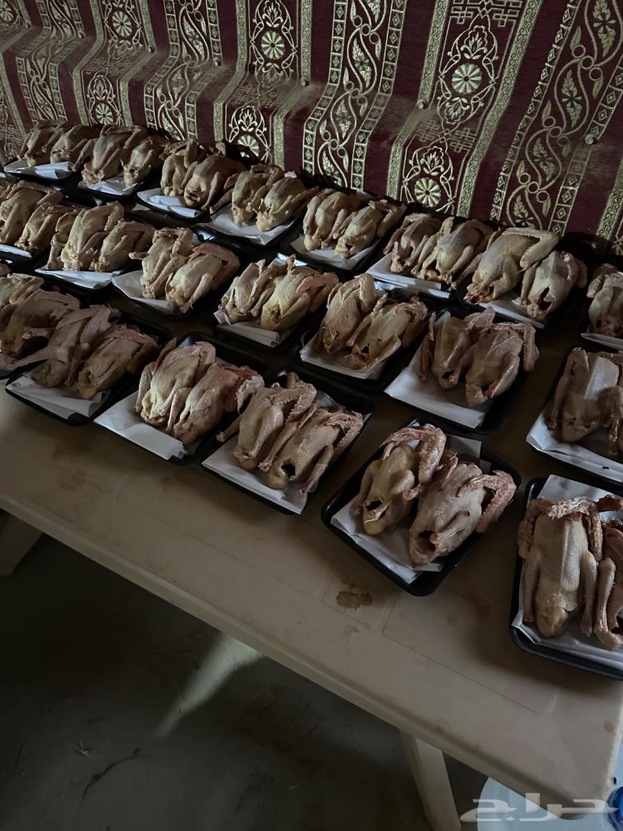 للبيع زغليل حمام فرنسي ابيض وسلفر64438726548995110