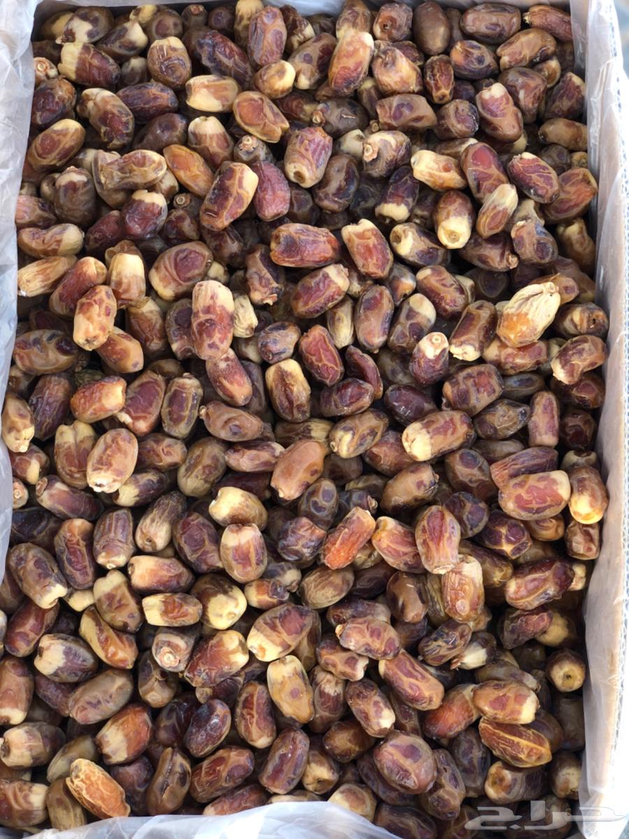 صقعي كرتون موز64439226160387110