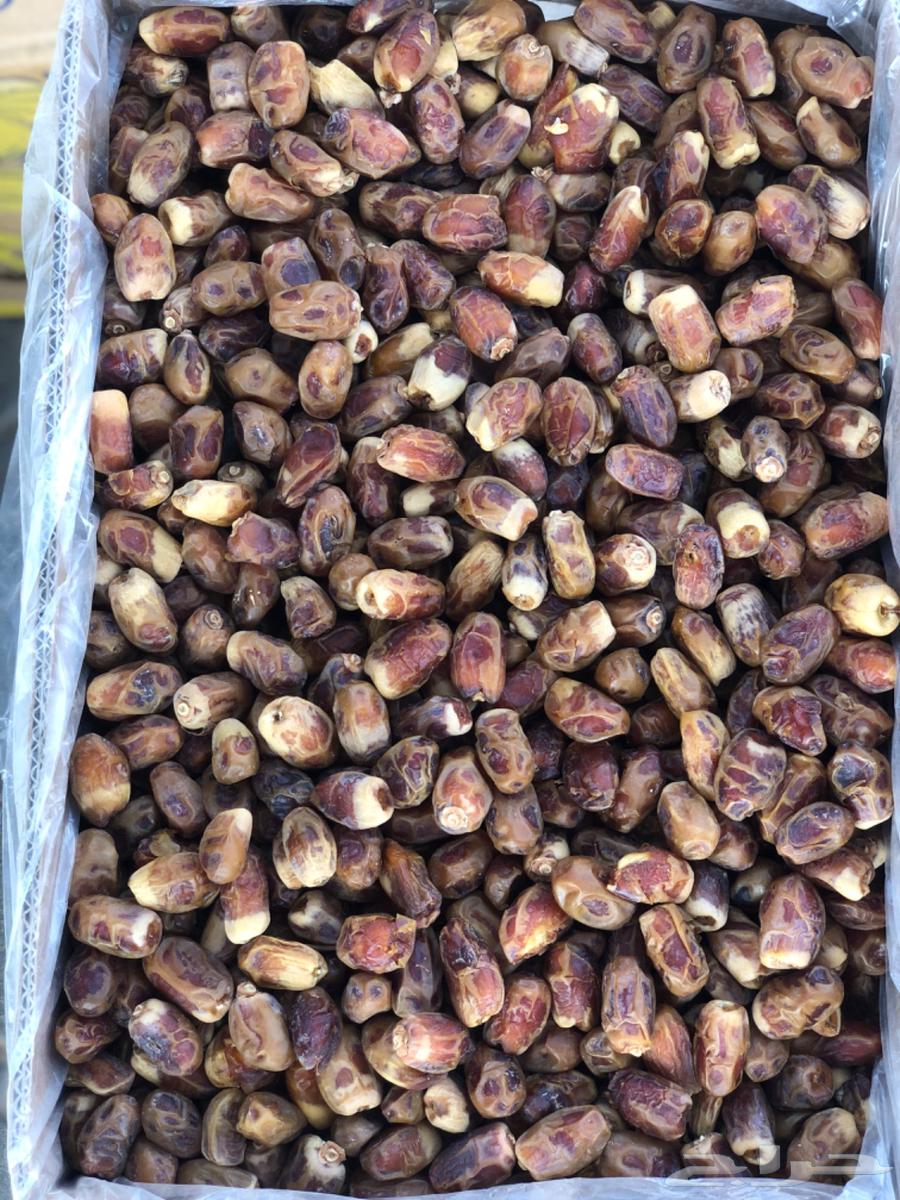 صقعي كرتون موز64439226160387111