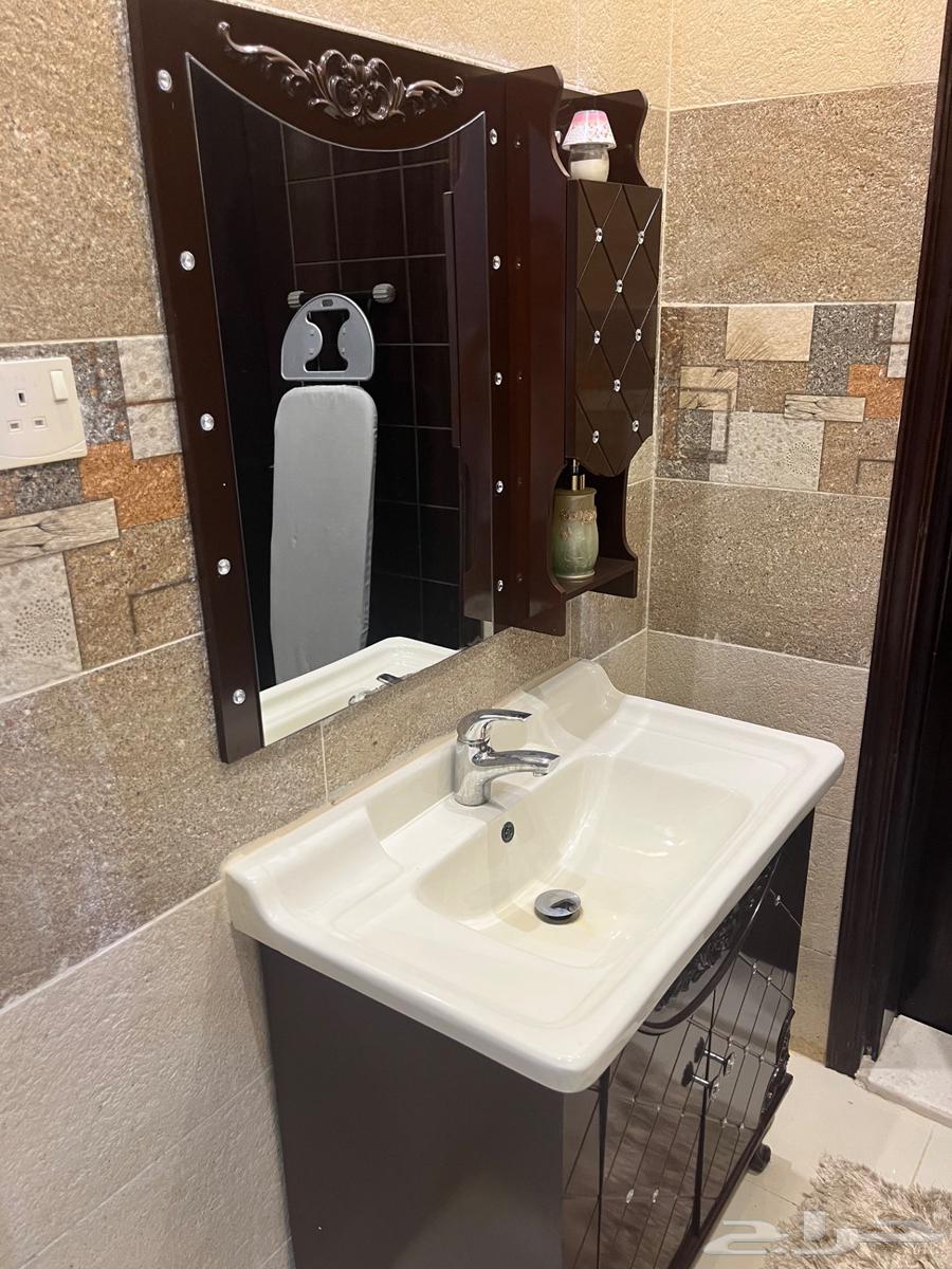 Double sink with mirror and lower cabinet64441745793666112