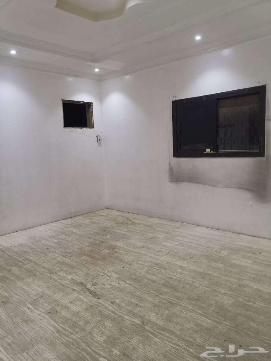 شقة للإيجار