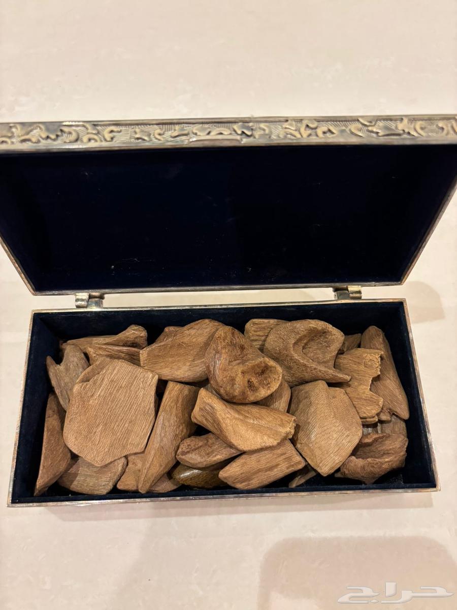 ماروكي اصقون قديم جدا  من سنين طبيعي64435163696515110