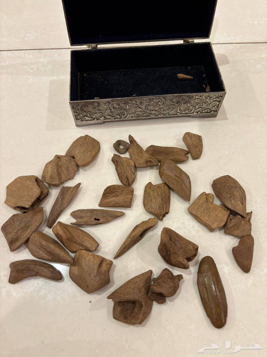 ماروكي اصقون قديم جدا  من سنين طبيعي64435163696515114