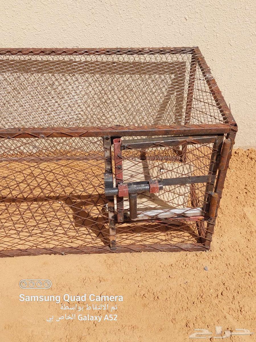 شبك طيور للبيع64435327160579110