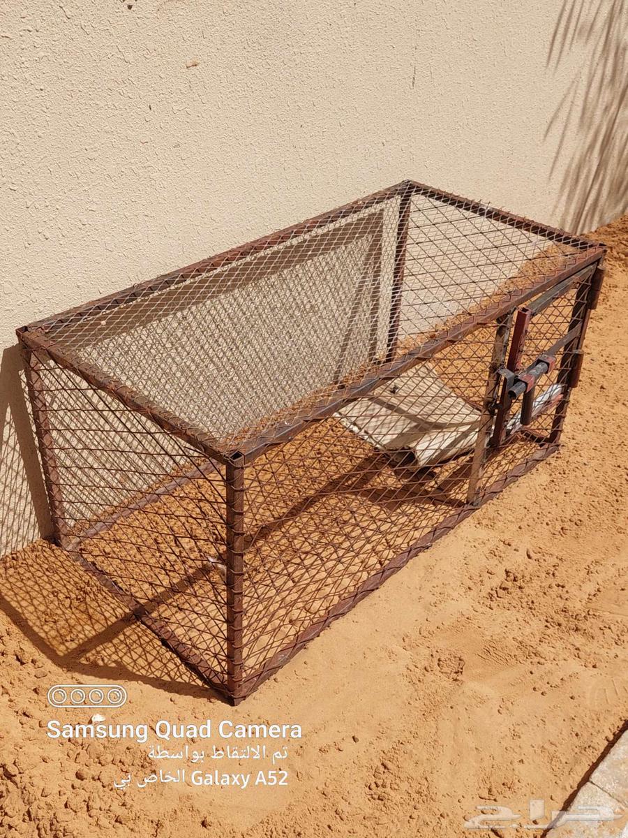 شبك طيور للبيع64435327160579111