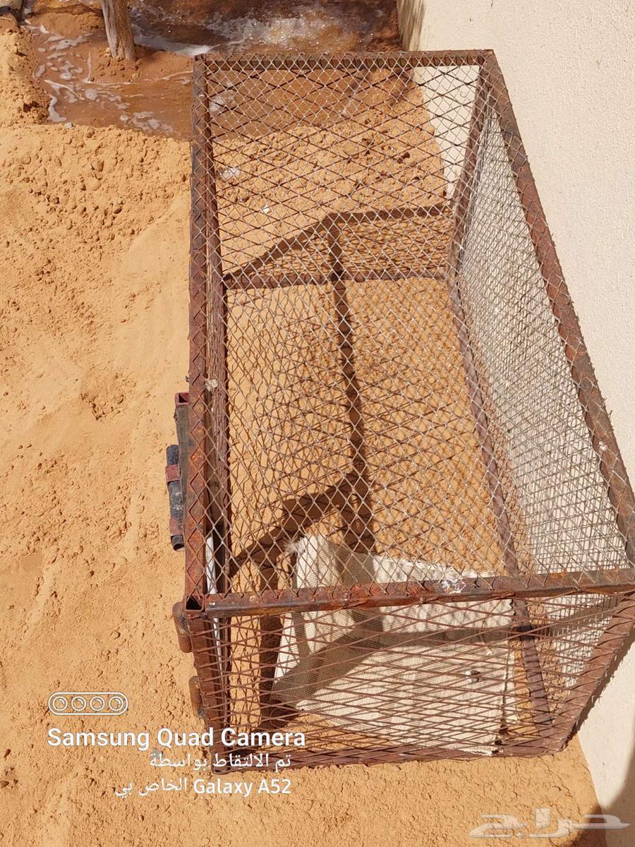 شبك طيور للبيع64435327160579113