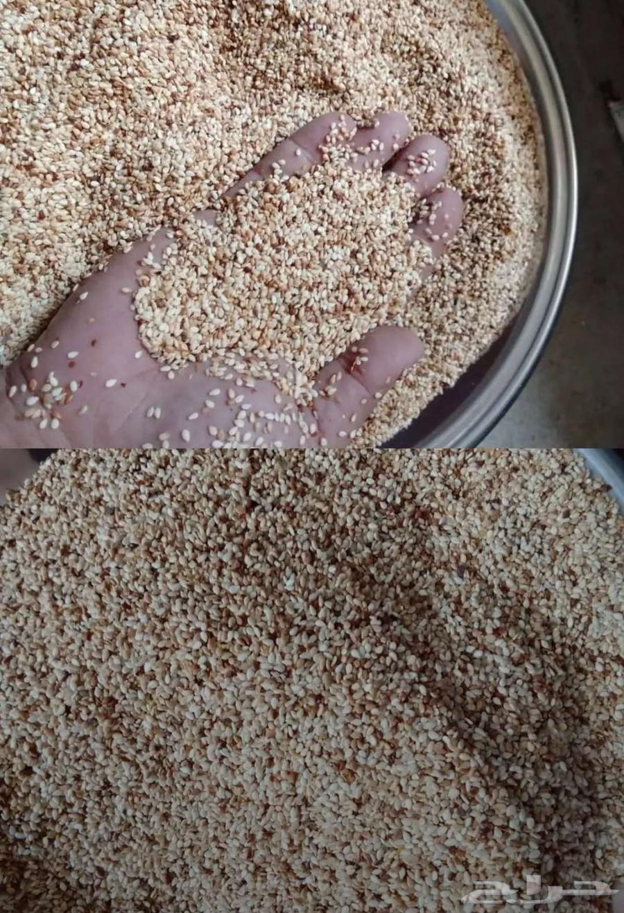 Clean Sesame 280 Tons64438686052995112