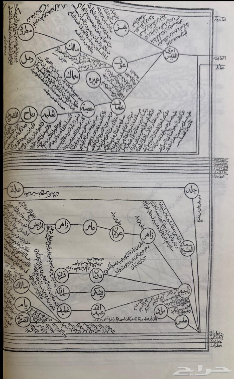 The Book of Golden Ingots on the Knowledge of Arab Lineages64437652648579112