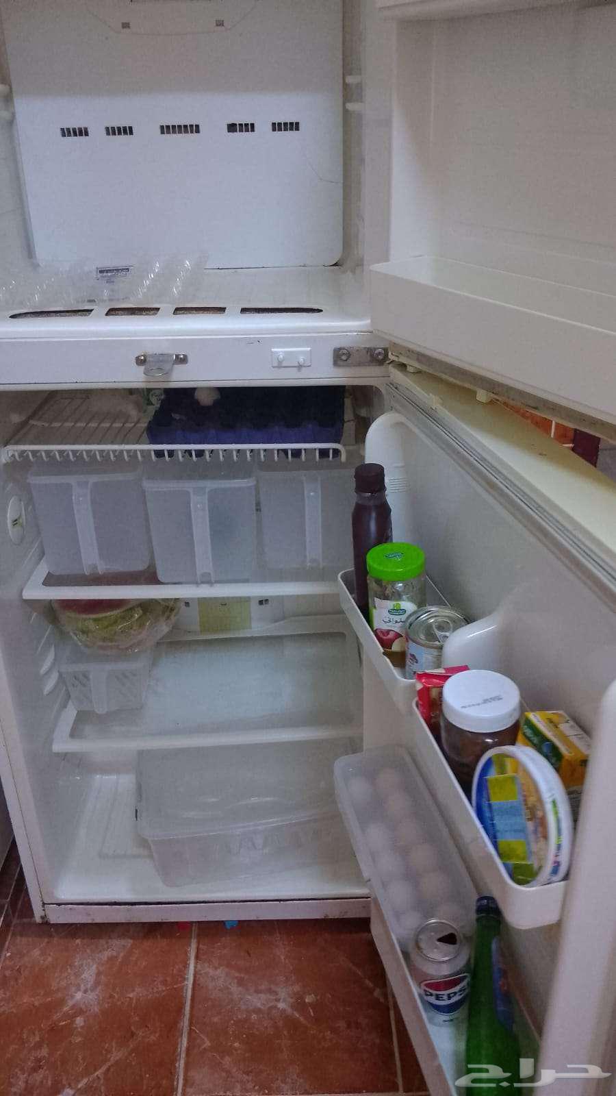 تبوك القادسيه 264436614686467114