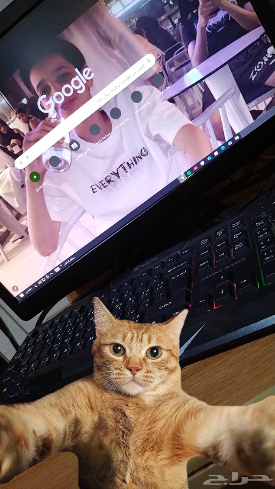 بيسي للبيع64436655147393110