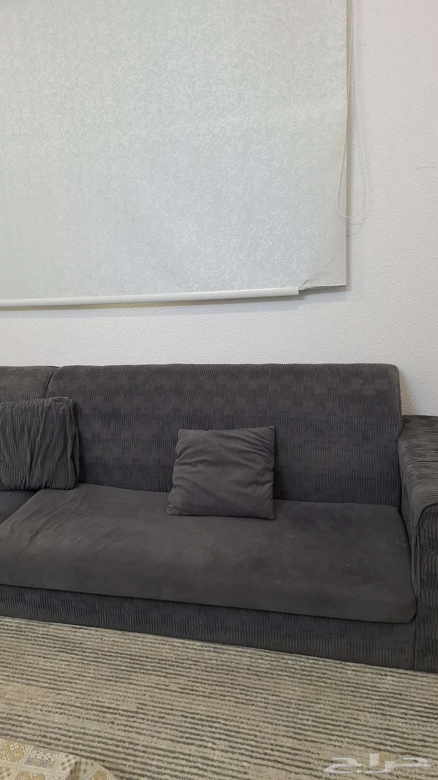 كنب رصاصي نضيف استخدام فتره سبب البيع نقلت وماجا مقاس الغرفه64438203381251112