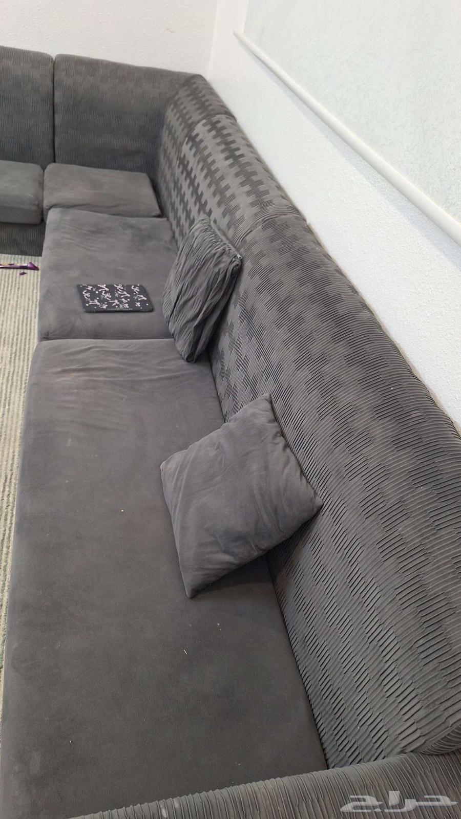 كنب رصاصي نضيف استخدام فتره سبب البيع نقلت وماجا مقاس الغرفه64438203381251111