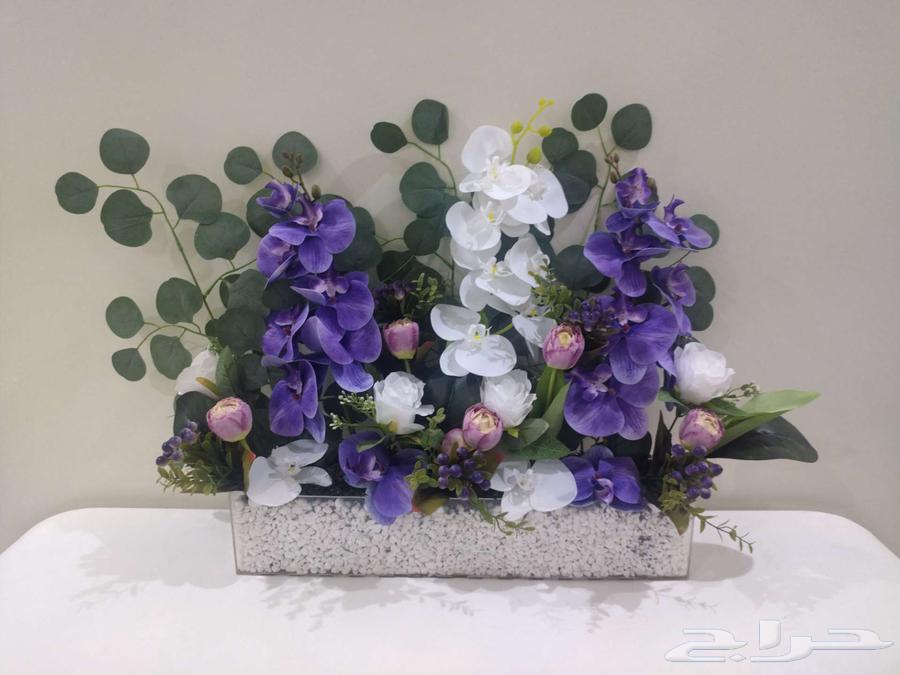 حي الاجاويد الالفية64436856453123111