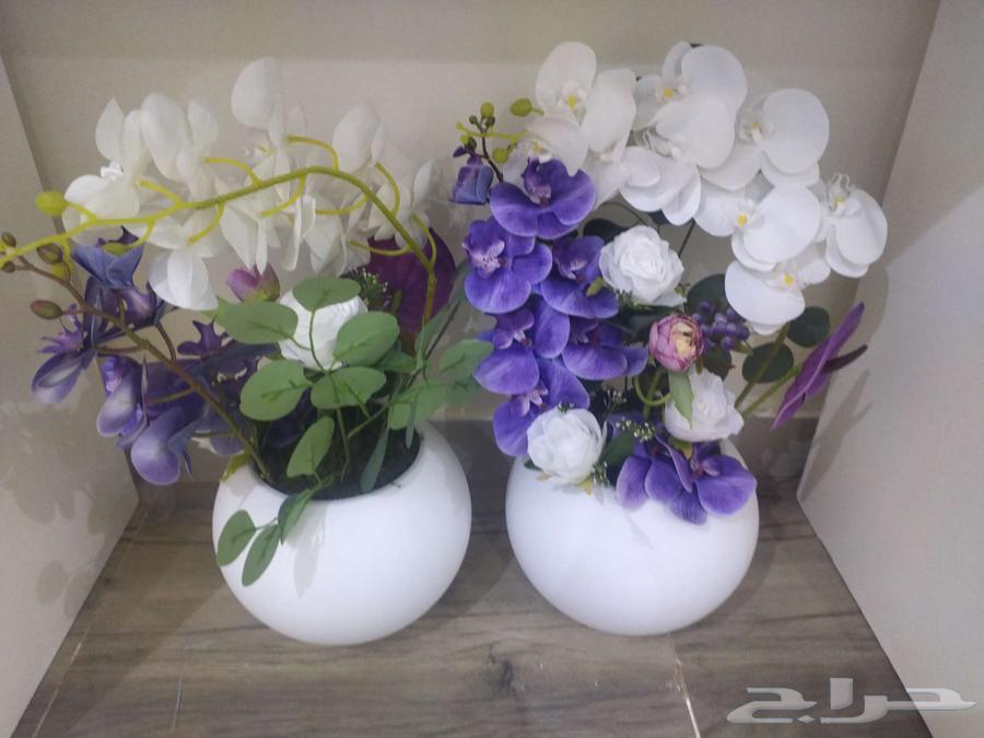 حي الاجاويد الالفية64436856453123110