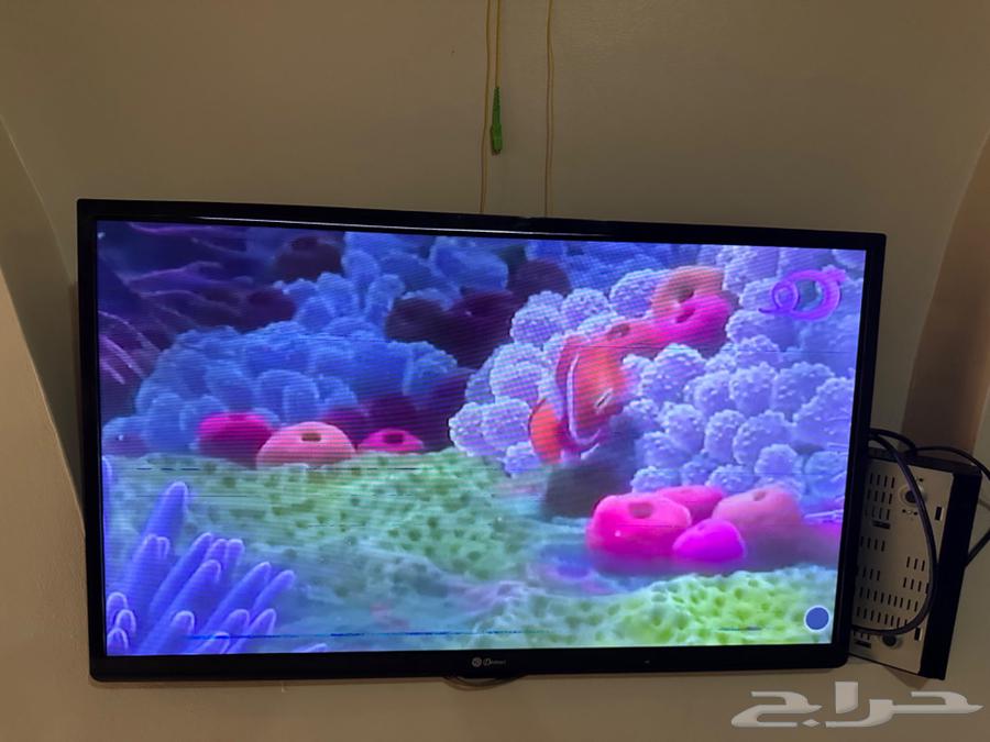 Mecca64457925928195110