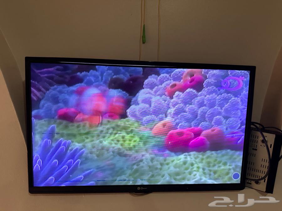 Mecca64457925928195111