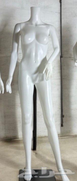 女性人体模型64446536434177110