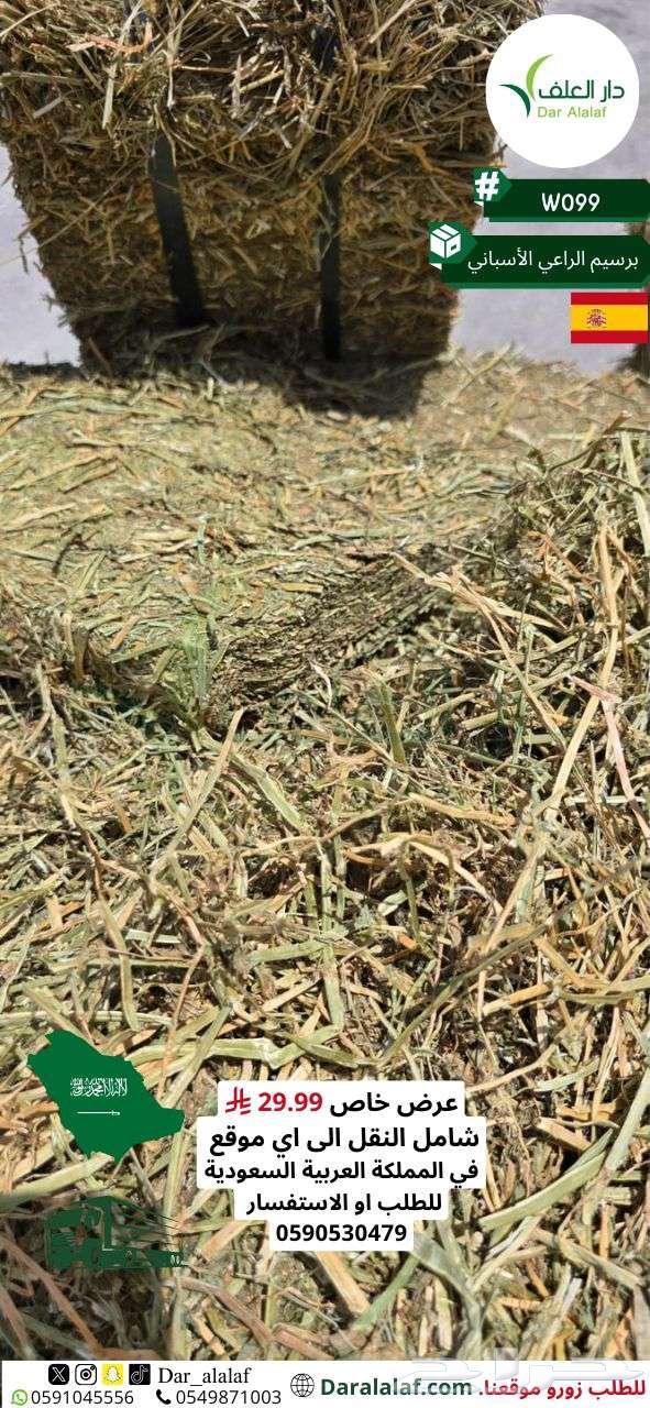 عرض على البرسيم الاسباني64448182485505112