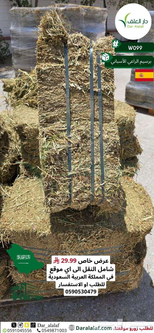 عرض على البرسيم الاسباني64448182485505111