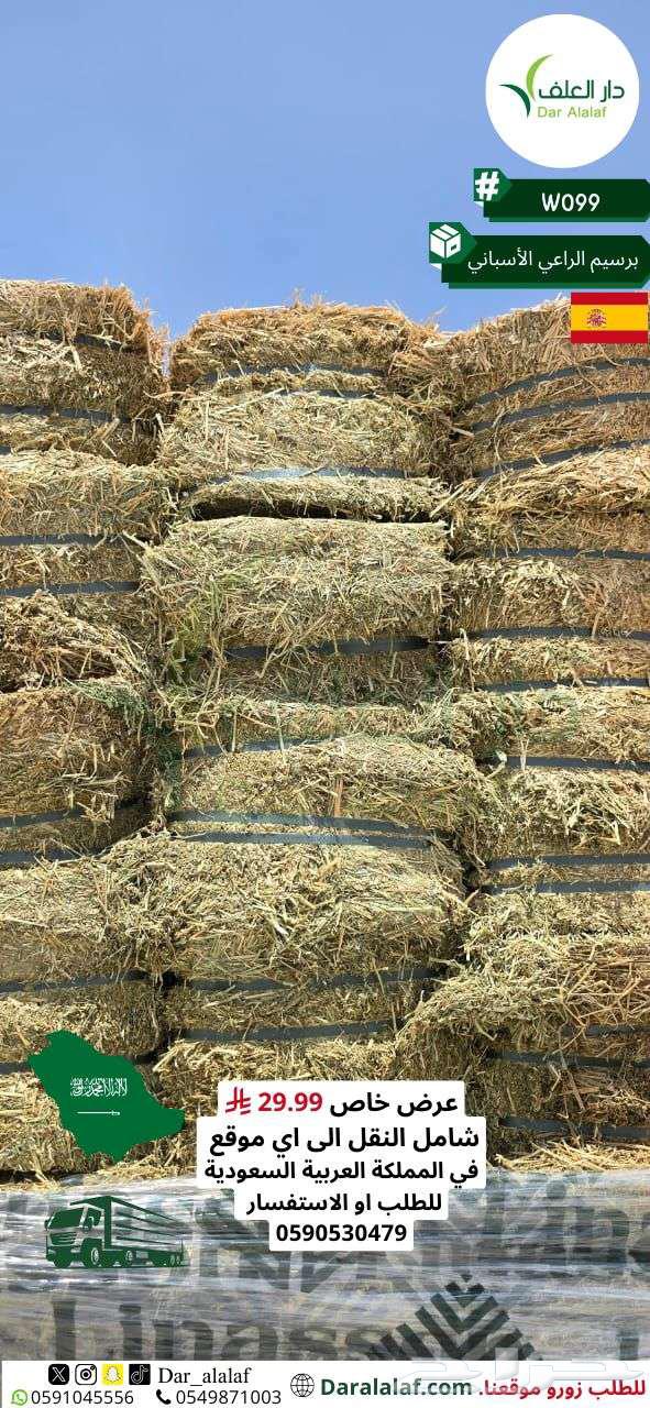 عرض على البرسيم الاسباني64448182485505110