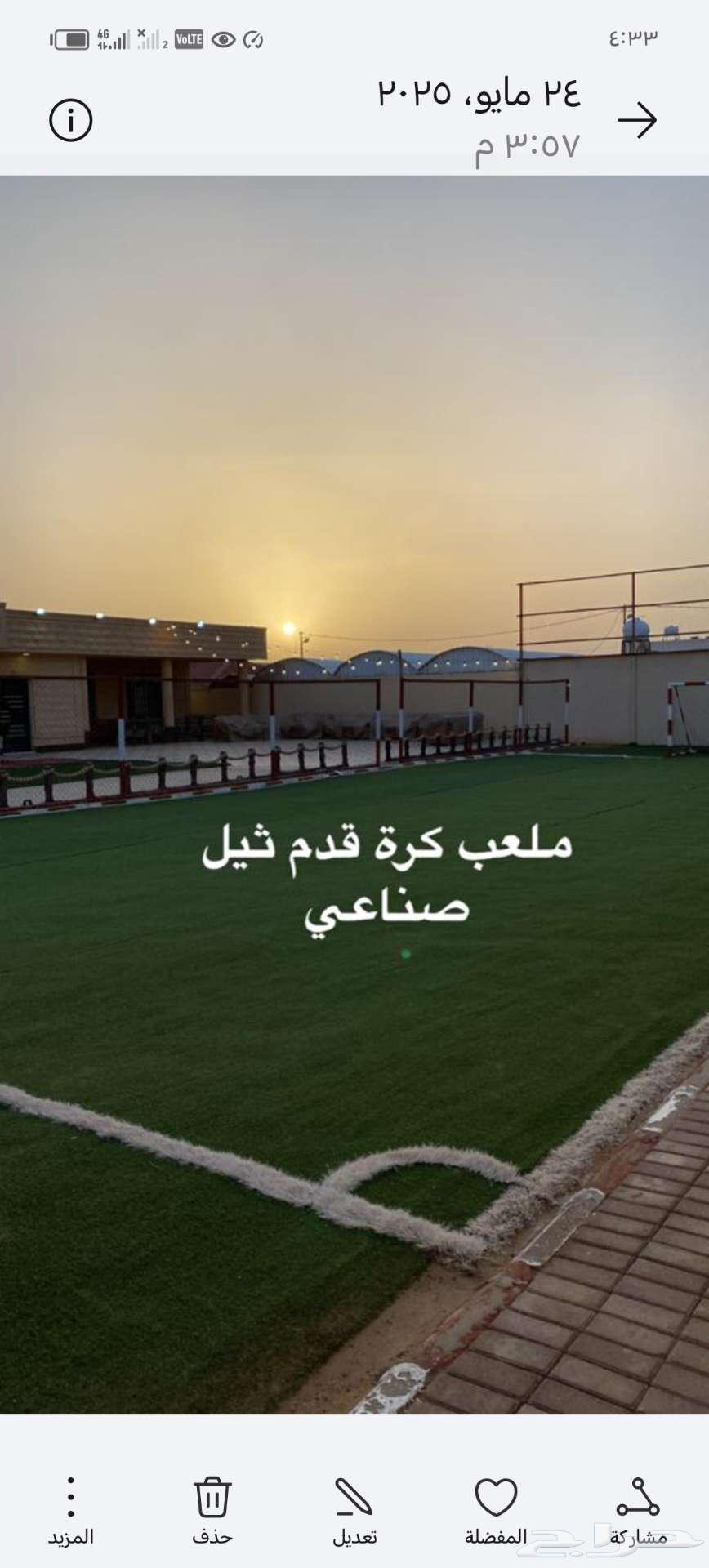 Artificial grass64446363996803110
