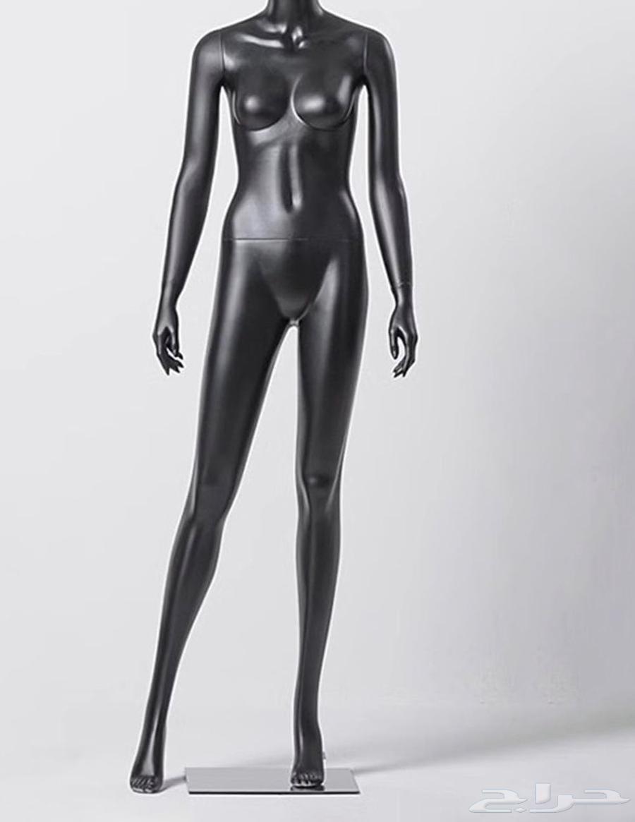 女性人体模型64446536434177111