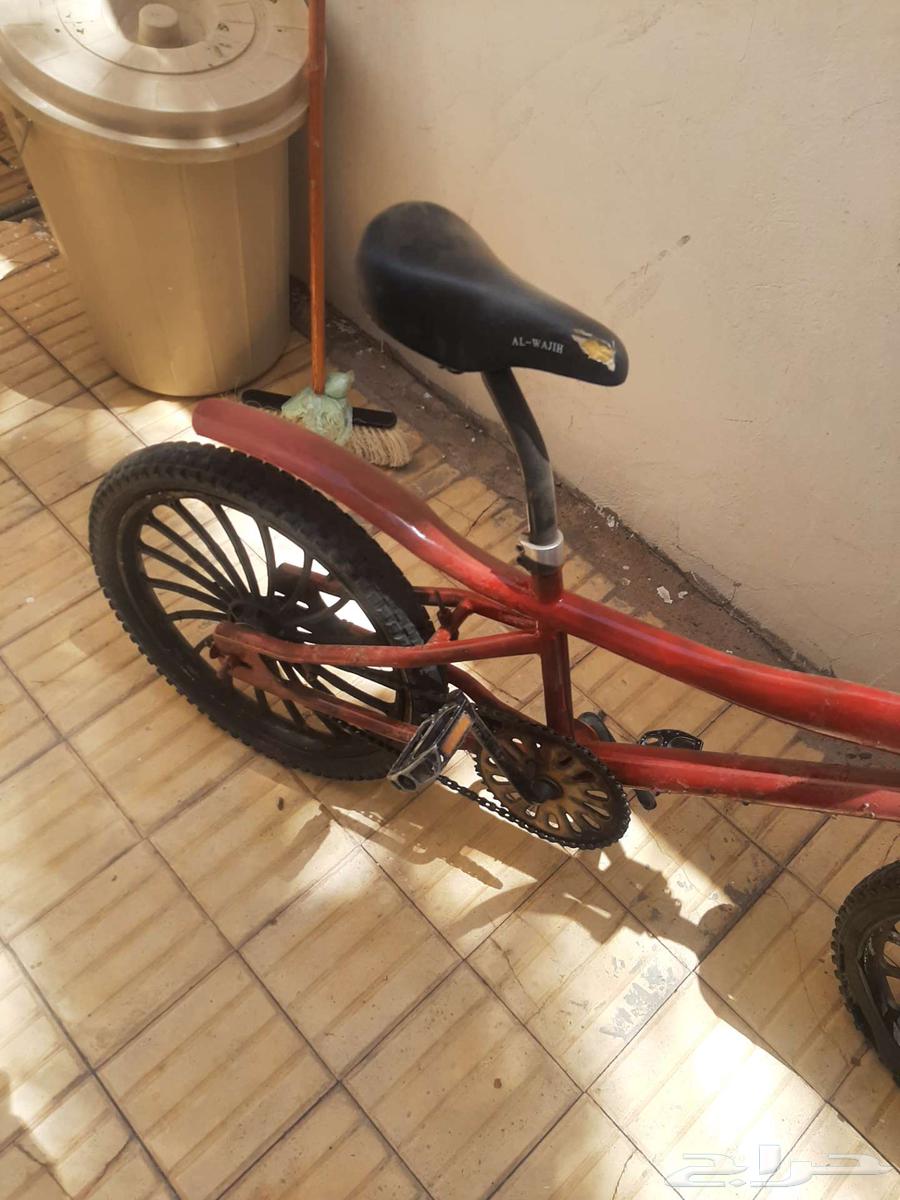 سيكل كوبرا مستعمل نظيف مقاس 2164447015724417114