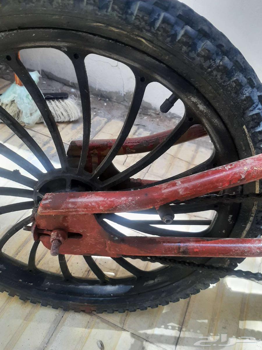 سيكل كوبرا مستعمل نظيف مقاس 2164447015724417113