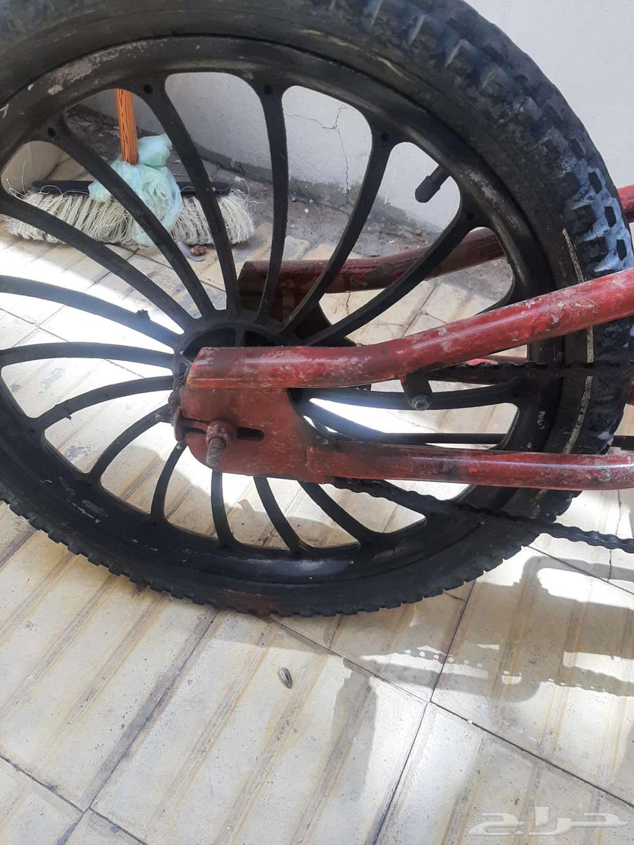 سيكل كوبرا مستعمل نظيف مقاس 2164447015724417110