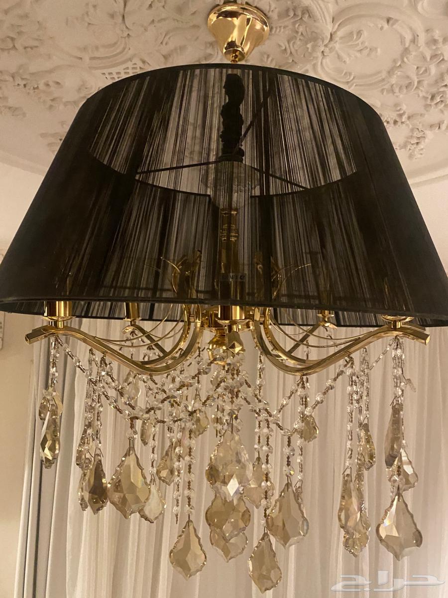 للبيع نجف عدد 264447521331841112