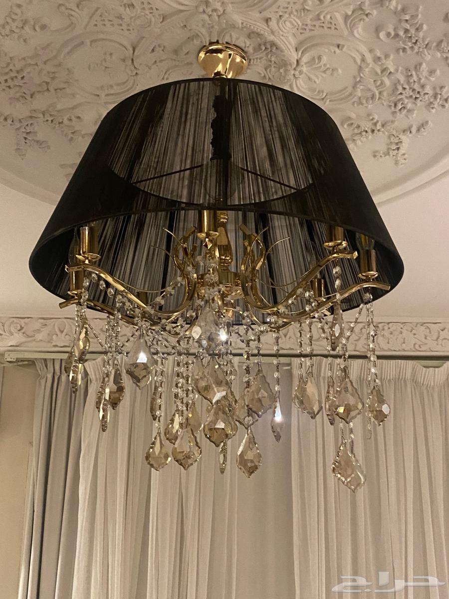 للبيع نجف عدد 264447521331841111