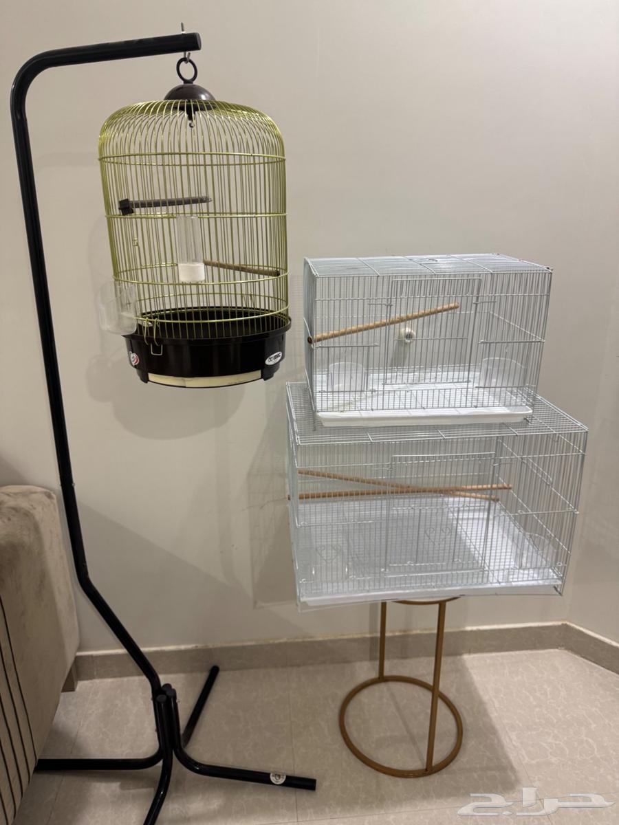 اقفاص ببغاء64449435451778110