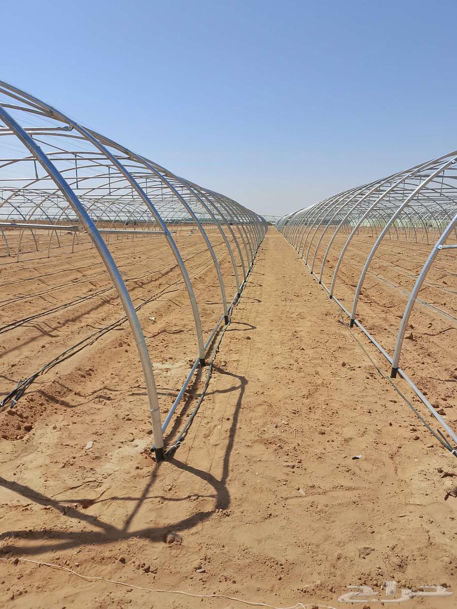 للبيع بيوت محميه مستخدم و جديد64444298450563110