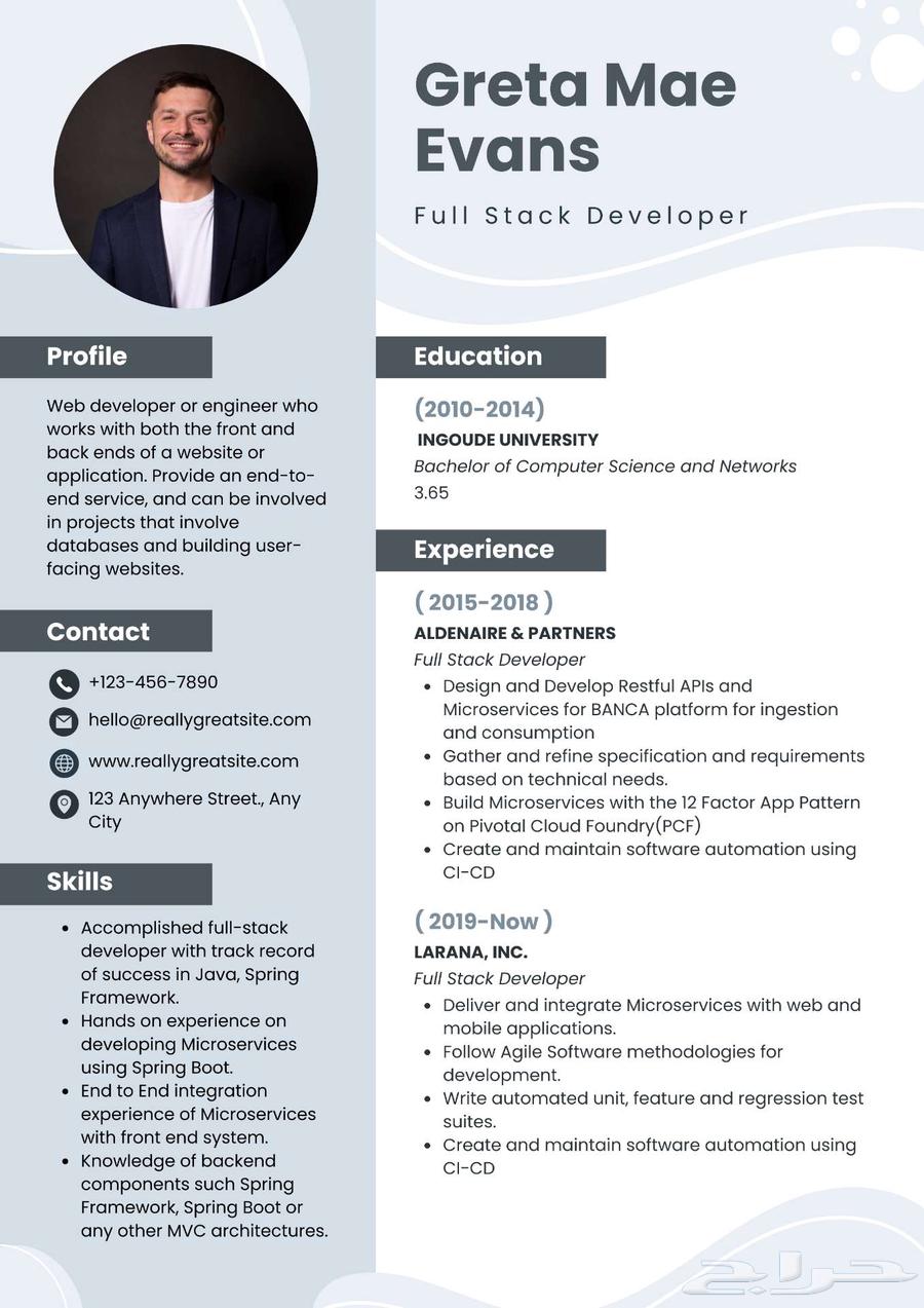 Professional CV Writing Service - Only 50 SAR64446270590210111