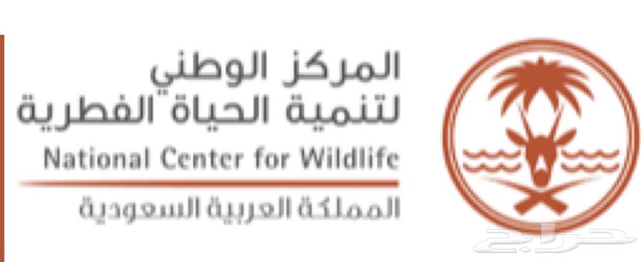 Issuing a Hunting and Shooting Permit64447296356482110