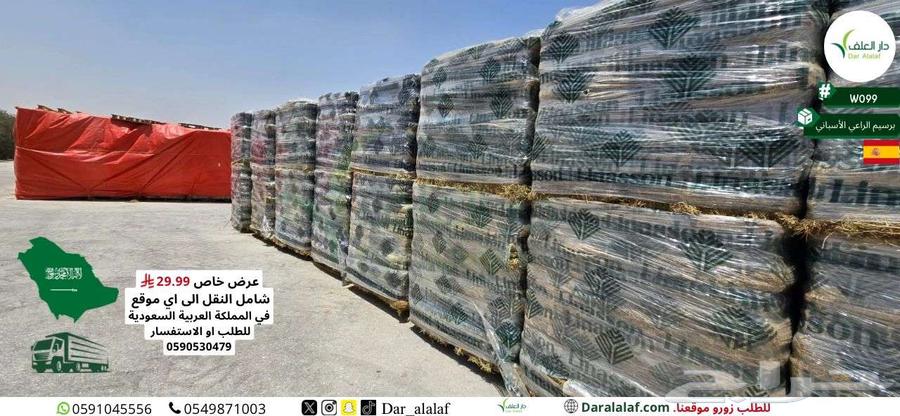 عرض على البرسيم الاسباني64448182485505113