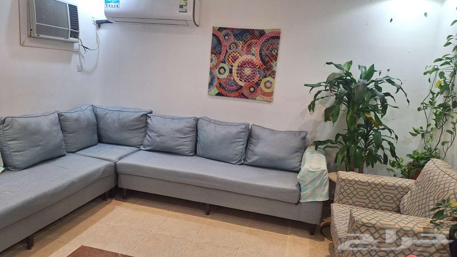 Semi-new sofa with no defects for sale at 700 SAR64446284111875110