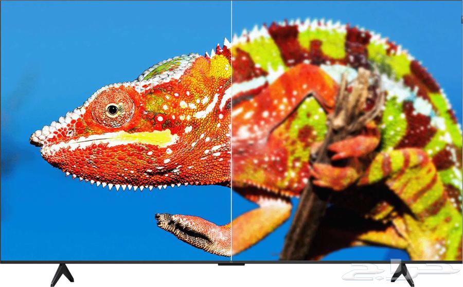 عروض شاشات TCL المميزة للأفراد والفنادق64450388031617110