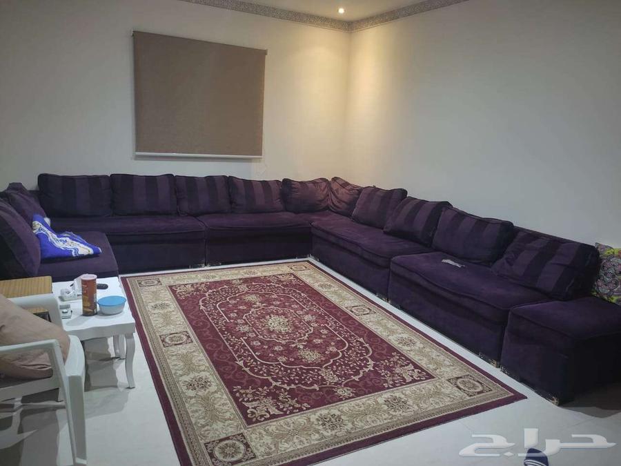 Selling a medium-good condition majlis with carpet, contact via WhatsApp only64446054551297110