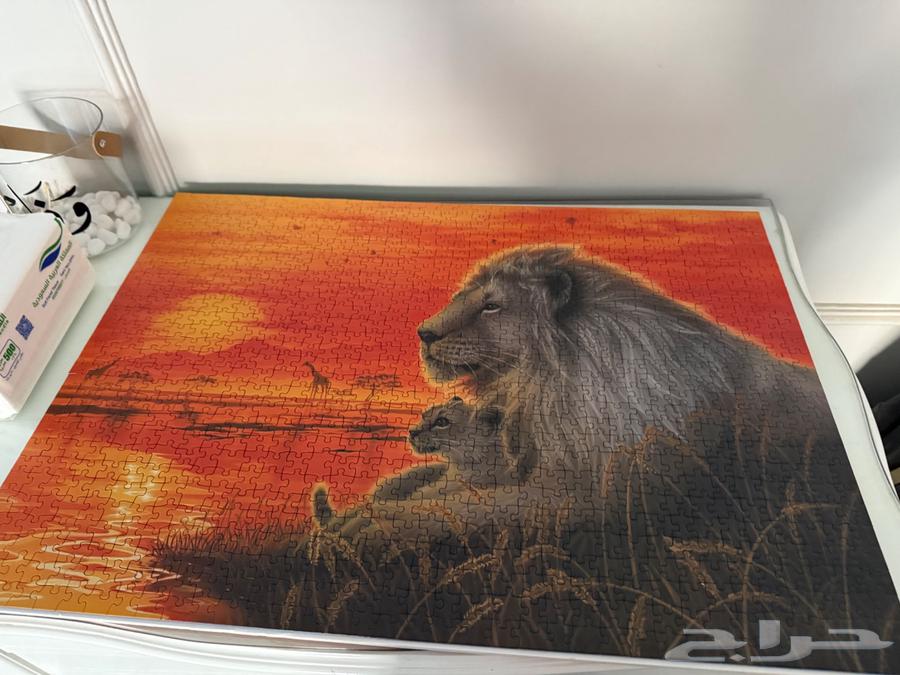 Puzzle 1000 pieces بازل 1000 قطعة64446842821122112