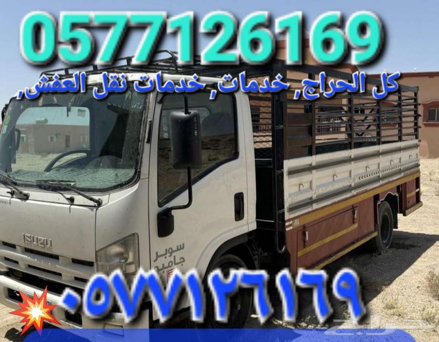 Dina Transports furniture and furnishings with disassembly a64350070835073110