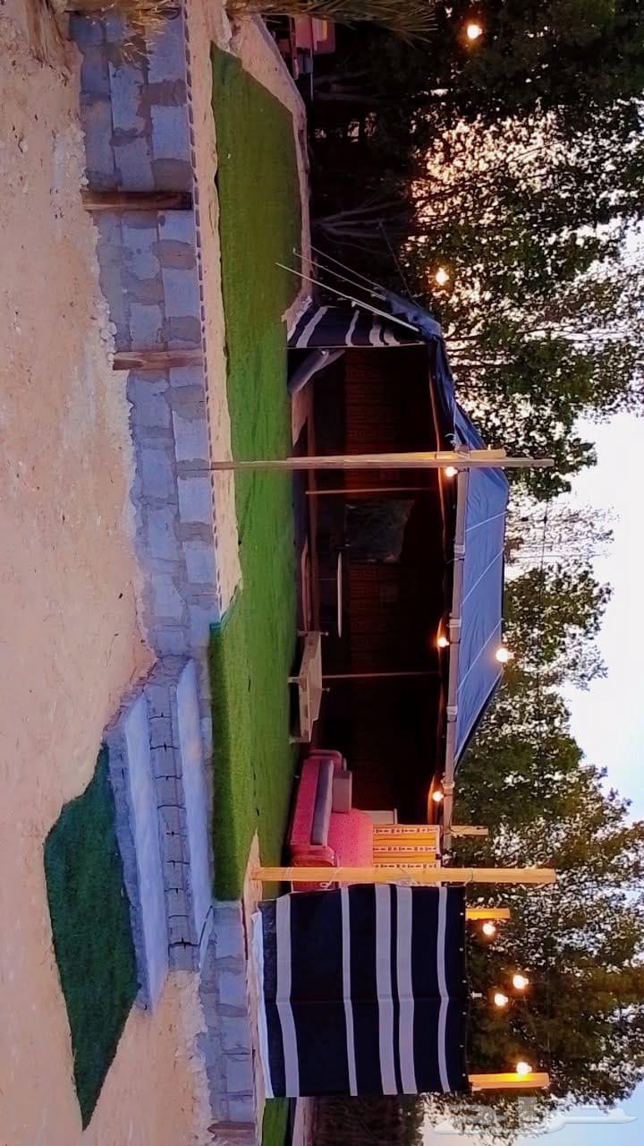 مخيم للايجار اليومي قسم واحد داخل مزرعه64456241179905110