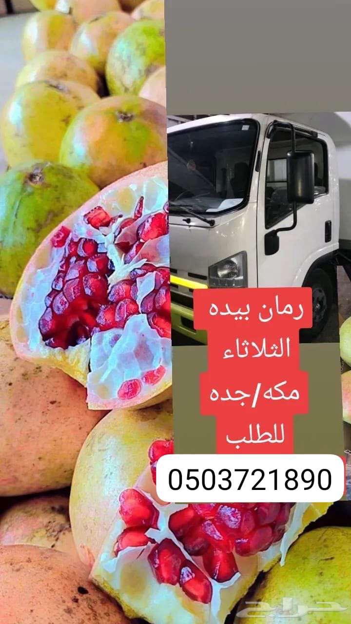 رمان بيدة الباحة64456420969729112