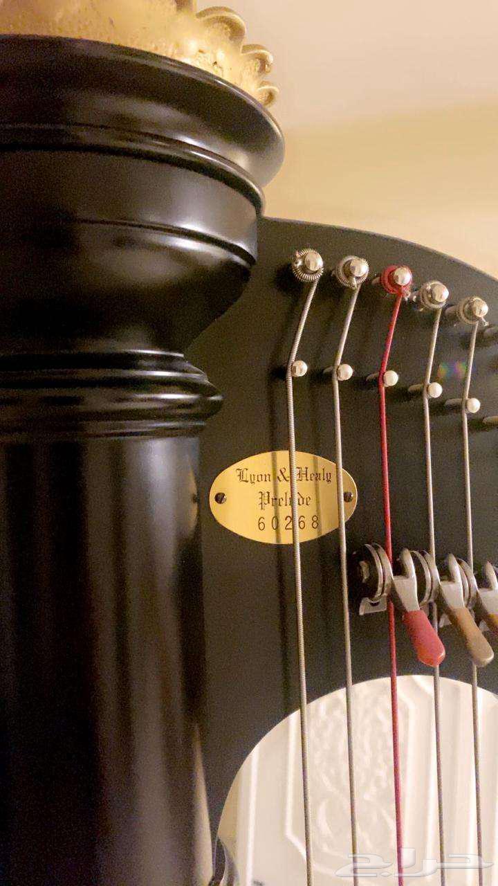 Harp for playing64457749102722113