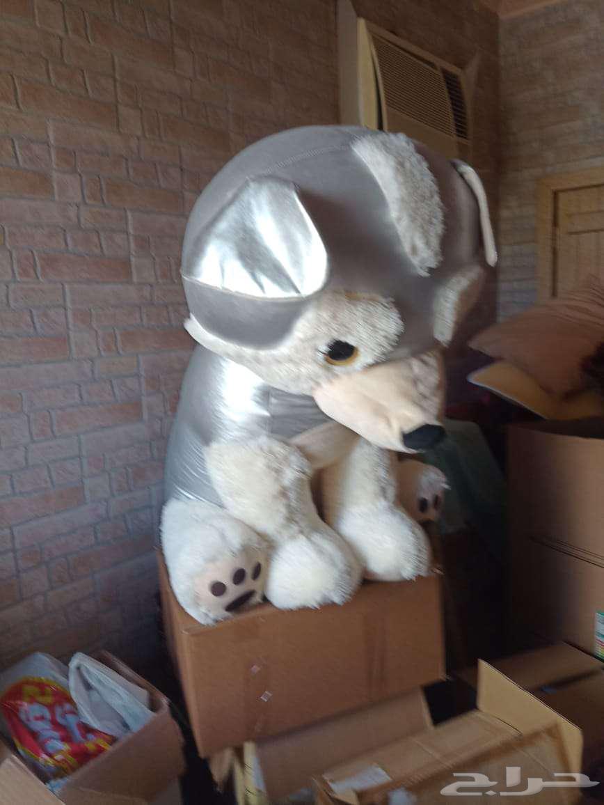 دمية كلب نظيفة وكبيرة64455963631107113