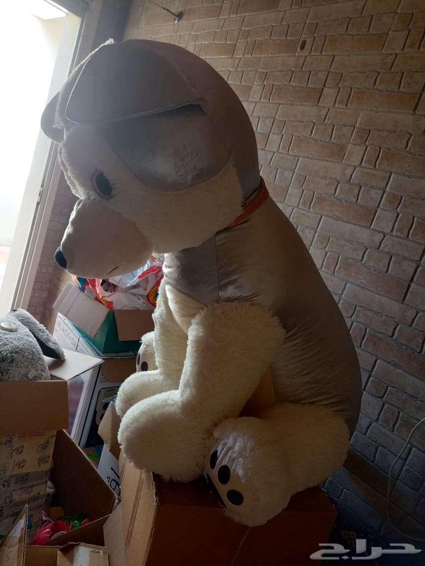 دمية كلب نظيفة وكبيرة64455963631107112