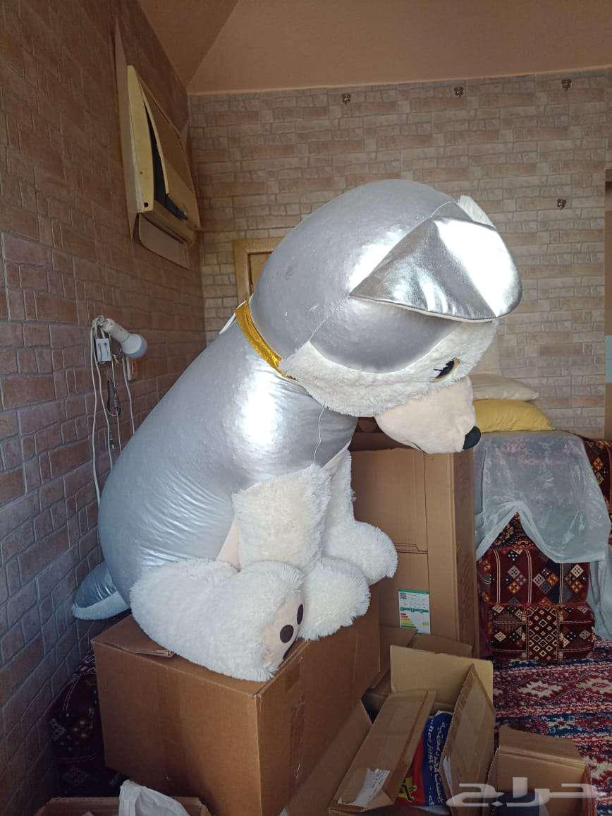 دمية كلب نظيفة وكبيرة64455963631107114