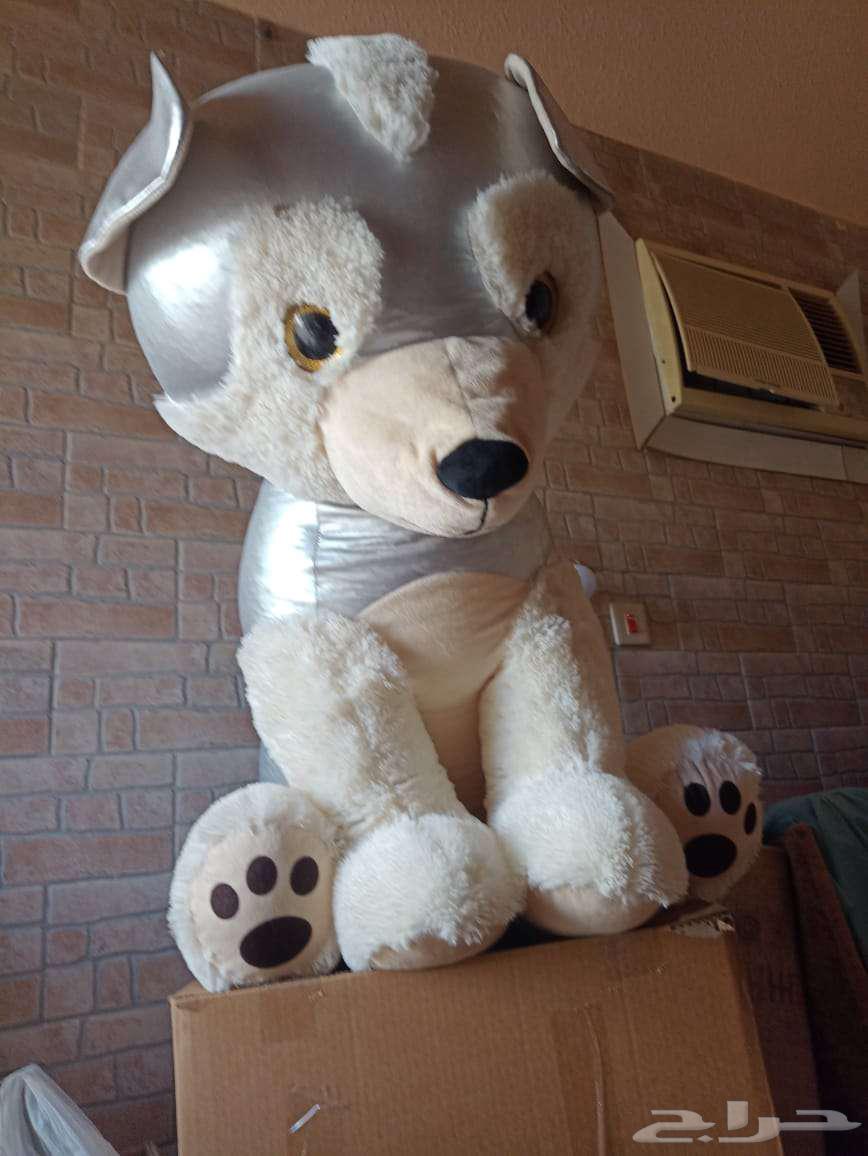 دمية كلب نظيفة وكبيرة64455963631107110