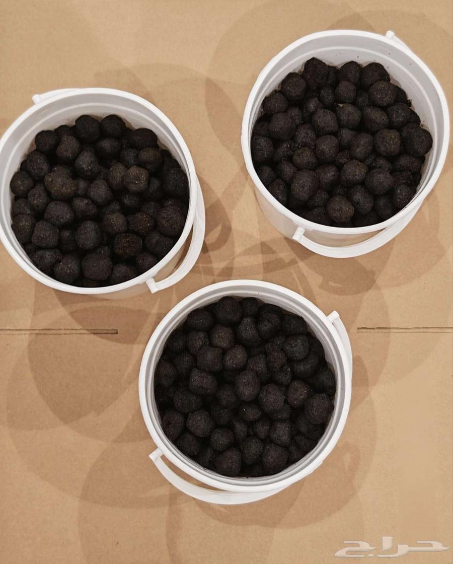 معمول دوسري حجم 1300 جرام بسعر الجملة 180 ريال64451096157315111