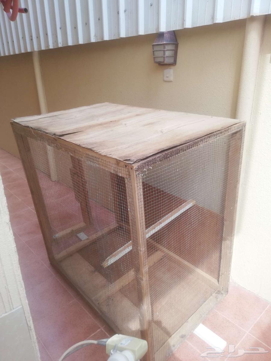 Medium bird net64454318917505111